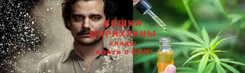 Бошки марихуана OG Kush  купить закладку  Туринск 